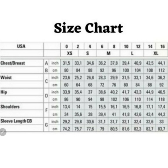 New Sexy Animal Print Shorts With Cuffed Hem - Picture 5 of 5